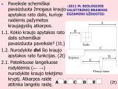 Kraujo apytaka 19 puslapis