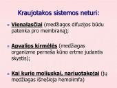 Kraujo apytaka 3 puslapis