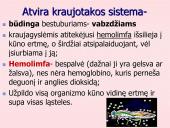 Kraujo apytaka 4 puslapis