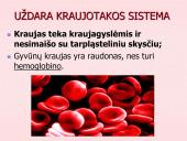 Kraujo apytaka 5 puslapis
