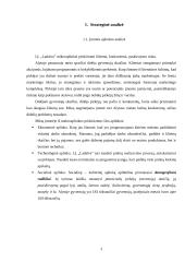 Įmonės strateginė analizė: IĮ "Ladalva" 3 puslapis
