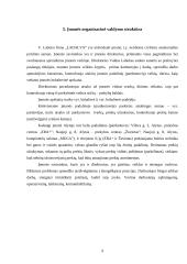 Įmonės strateginė analizė: IĮ "Ladalva" 9 puslapis