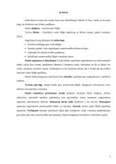 Vardo Miglė kilmės ir vartosenos tyrimas 3 puslapis