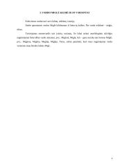 Vardo Miglė kilmės ir vartosenos tyrimas 4 puslapis