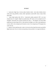 Vardo Miglė kilmės ir vartosenos tyrimas 8 puslapis