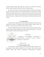 Mokomosios šaltkalvystės ir remonto praktikos ataskaita 13 puslapis