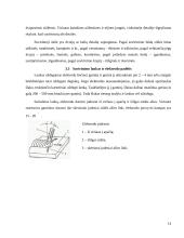 Mokomosios šaltkalvystės ir remonto praktikos ataskaita 14 puslapis