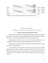 Mokomosios šaltkalvystės ir remonto praktikos ataskaita 16 puslapis