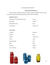 Mokomosios šaltkalvystės ir remonto praktikos ataskaita 19 puslapis