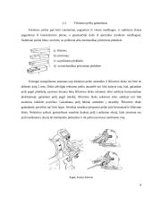 Mokomosios šaltkalvystės ir remonto praktikos ataskaita 8 puslapis