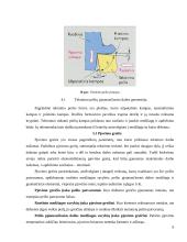 Mokomosios šaltkalvystės ir remonto praktikos ataskaita 9 puslapis