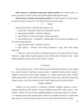 Mokomosios šaltkalvystės ir remonto praktikos ataskaita 10 puslapis