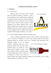 Operacinės sistemos ir jų paplitimas pasaulyje 6 puslapis