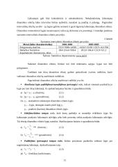 Lietuvos gyventojų migracijos dinamika ir priežastys 12 puslapis