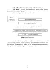 Lietuvos gyventojų migracijos dinamika ir priežastys 4 puslapis