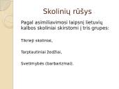Lietuvių kalbos skoliniai arba svetimybės 4 puslapis