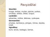 Lietuvių kalbos skoliniai arba svetimybės 6 puslapis