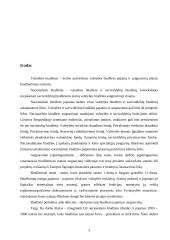 Lietuvos Respublikos (LR) nacionalinio biudžeto analizė 2003–2006 metais 3 puslapis