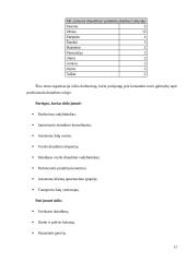 „Lietuvos draudimas“ dalykinio bendravimo analizė 16 puslapis