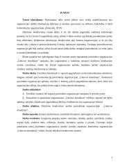 „Lietuvos draudimas“ dalykinio bendravimo analizė 2 puslapis