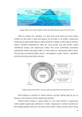 „Lietuvos draudimas“ dalykinio bendravimo analizė 7 puslapis