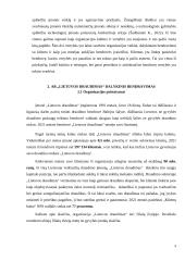 „Lietuvos draudimas“ dalykinio bendravimo analizė 8 puslapis