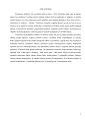 M.K. Čiurlionis "Žiemos ciklas" 2 puslapis