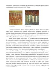 M.K. Čiurlionis "Žiemos ciklas" 5 puslapis