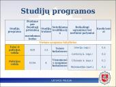 Pareigūno profesija 17 puslapis