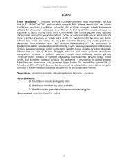 Socialinės nelygybės priežastys Lietuvoje ir pasaulyje 2 puslapis