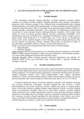 Socialinės nelygybės priežastys Lietuvoje ir pasaulyje 3 puslapis