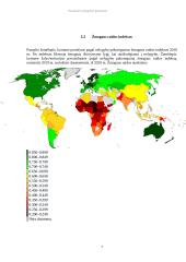 Socialinės nelygybės priežastys Lietuvoje ir pasaulyje 7 puslapis