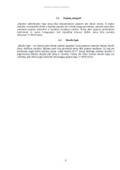 Socialinės nelygybės priežastys Lietuvoje ir pasaulyje 8 puslapis