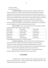 Marketingo komplekso analizė: UAB "Marijampolės pieno konservai" 7 puslapis