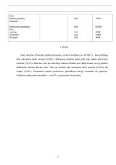 Marketingo plano parengimas: soliariumas UAB "Solisun Baltic" 13 puslapis