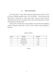Marketingo plano parengimas: soliariumas UAB "Solisun Baltic" 5 puslapis