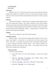 Marketingo valdymas: alaus restoranas "Rambynas" 7 puslapis