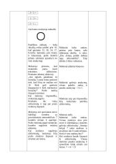 Matematikos pamokos analizė 2 puslapis