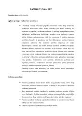 Matematikos pamokos analizė 4 puslapis