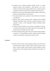 Matematikos pamokos analizė 5 puslapis