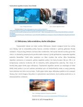 Tarptautinės logistikos bruožai 7 puslapis