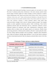 Žydrųjų ir raudonųjų vandenynų strategija 4 puslapis