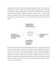 Žydrųjų ir raudonųjų vandenynų strategija 8 puslapis