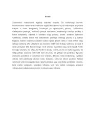 Žydrųjų ir raudonųjų vandenynų strategija 9 puslapis