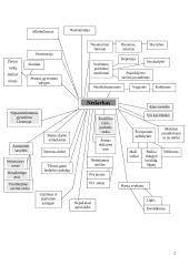 Nedarbo lygis Lietuvoje bei jo pasekmės, priežastys 2 puslapis