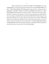 Filmo „Klajoklių žemė” (Nomadland) refleksija  5 puslapis