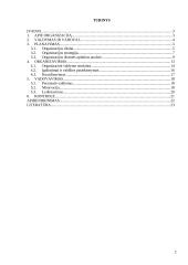 Organizacijos valdymo analizės projektas 2 puslapis