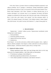 Organizacijos valdymo analizės projektas 13 puslapis