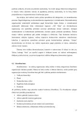 Organizacijos valdymo analizės projektas 17 puslapis