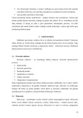 Organizacijos valdymo analizės projektas 18 puslapis